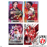 JAPAN NATIONAL VOLLEYBALL TEAM ツインウエハース