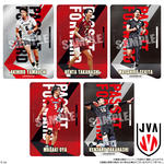 JAPAN NATIONAL VOLLEYBALL TEAM ツインウエハース