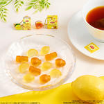 Lipton ミニチュアチャーム＆グミ