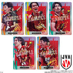 JAPAN NATIONAL VOLLEYBALL TEAM ツインウエハース