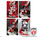 JAPAN NATIONAL VOLLEYBALL TEAM ツインウエハース