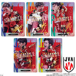 JAPAN NATIONAL VOLLEYBALL TEAM ツインウエハース